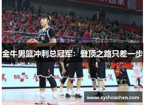 金牛男篮冲刺总冠军：登顶之路只差一步